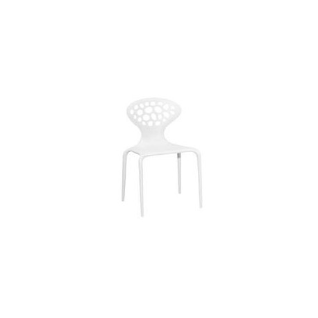 PP Plastic Chair