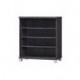 2 Doors Shoe Cabinet